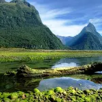 Le più belle mete da visitare in Nuova Zelanda