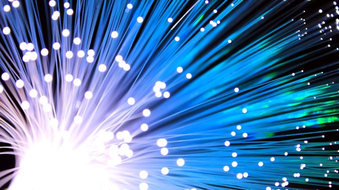 fibra fibra